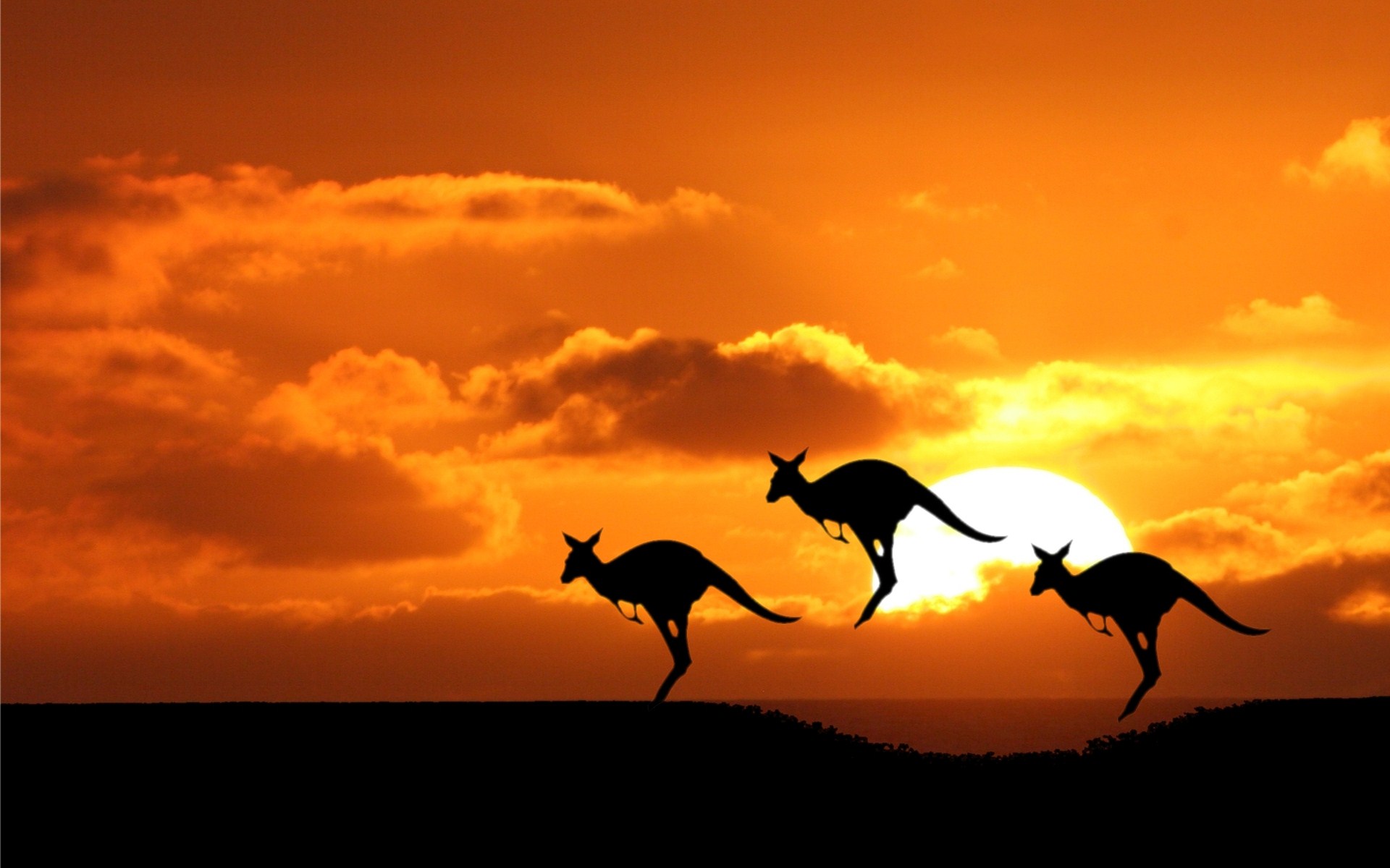 Australia wallpaper